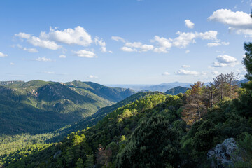 The Sardinian countryside between Baunei and Dorgali in Europe, Italy, Sardinia, Baunei, in summer, on a sunny day.