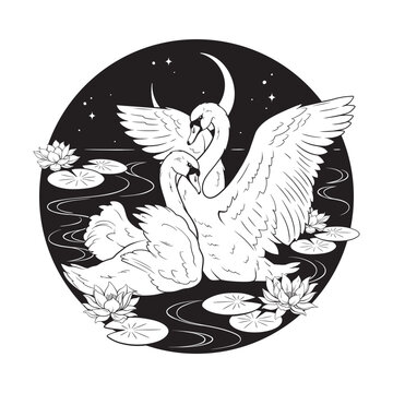 A pair of swans in a lake with water lilies in the night hand drawn line art gothic tattoo design isolated vector illustration