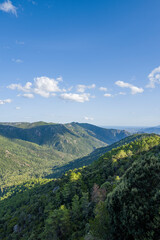 Naklejka premium The Sardinian countryside between Baunei and Dorgali in Europe, Italy, Sardinia, Baunei, in summer, on a sunny day.