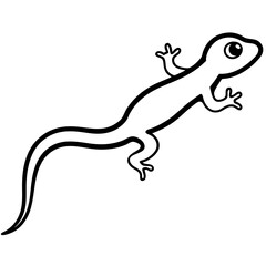 Obraz premium lizard on white background