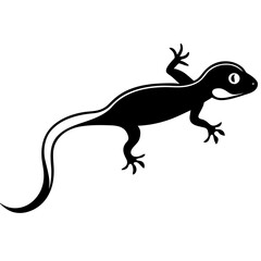 Fototapeta premium lizard on white