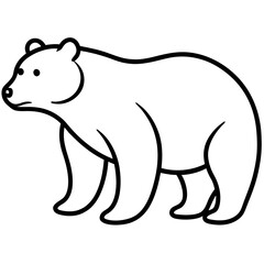 Fototapeta premium polar bear vector