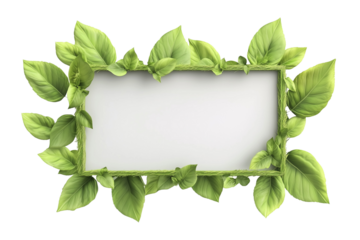 a green leaf frame with a blank signboard isolated on a transparent background