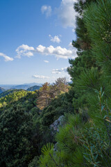 The Sardinian countryside between Baunei and Dorgali in Europe, Italy, Sardinia, Baunei, in summer, on a sunny day.