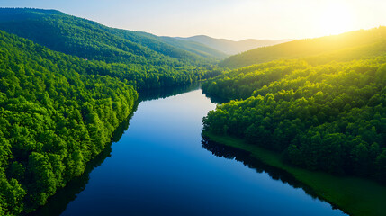 Obraz premium Aerial View of Emerald Green Forest and Serene River Valley with Golden Sunlight Bathed Landscape