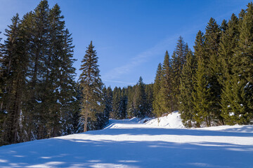 The ski slope in Megeve in Europe, France, Auvergne Rhone Alpes, Haute Savoie, Megeve, in summer, on a sunny day.