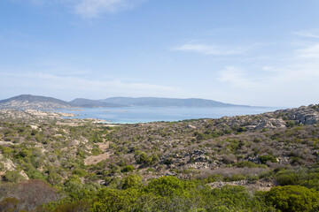Obraz premium The coast by the sea at Asinara National Park in Europe, Italy, Sardinia, Asinara, in summer, on a sunny day.