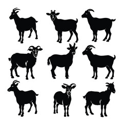 Set of Goat and Sheep Silhouettes