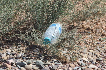 Obraz premium Empty plastic bottle lying on ground