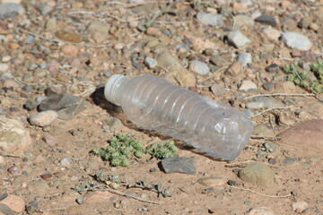 Empty plastic bottle lying on ground