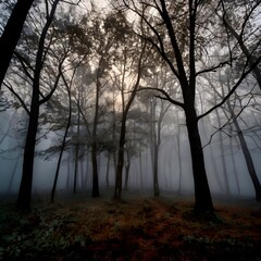 Misty Autumn Forest in Fog | Mysterious Woodland Trees with Sunlight Nature Landscape