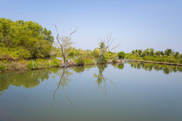 Obraz premium Astamudi Lake in Munroe Island in Asia, India, Kerala, Munroe Island, in summer on a sunny day.