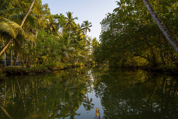 The canal on Astamudi Lake in Munroe Island in Asia, India, Kerala, Munroe Island, in summer, on a sunny day.