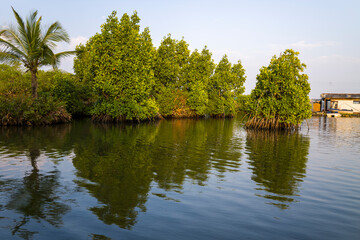 Obraz premium Astamudi Lake in Munroe Island in Asia, India, Kerala, Munroe Island, in summer on a sunny day.