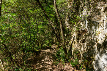 The hiking trail in the Navacelles cirque in Europe, France, Occitanie, Herault, Saint Maurice Navacelles, in summer, on a sunny day.