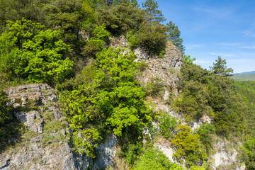 The Vis national forest in Europe, France, Occitanie, Herault, Saint Maurice Navacelles, in summer, on a sunny day.
