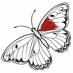 creative silhouette butterfly icon vector illustration
