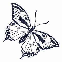 creative silhouette butterfly icon vector illustration
