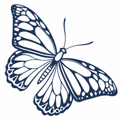 creative silhouette butterfly icon vector illustration
