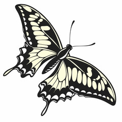 creative silhouette butterfly icon vector illustration
