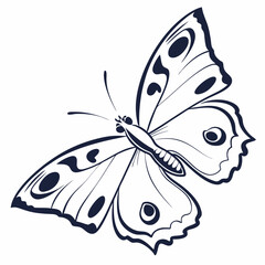 creative silhouette butterfly icon vector illustration
