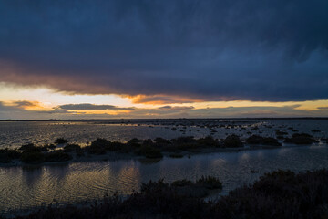 Sunset in the Camargue Regional Park in Europe, France, Provence Alpes Cote d Azur, Bouches du Rhone, Arles, in summer, on a sunny day.