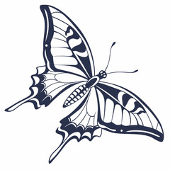 creative silhouette butterfly icon vector illustration

