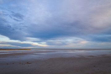 Fototapeta premium The beach in the Camargue Regional Park in Europe, France, Provence Alpes Cote d Azur, Bouches du Rhone, Arles, in summer, on a sunny day.
