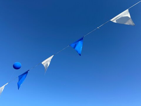 fanions blanc bleuplan large