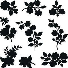 Set consistent flower silhouette black color vector 