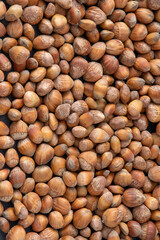 Nuts background. Hazelnut food. Kernel raw seed. Hazel nut heap