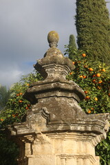 Obraz premium fountain before an orange tree
