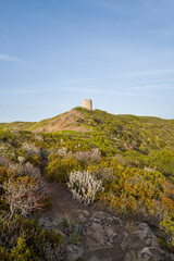The watchtower at Punta di Foghe in Europe, Italy, Sardinia, Punta di Foghe, in summer, on a sunny day.