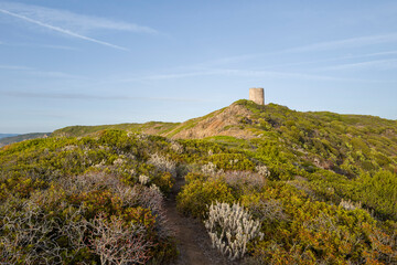 The watchtower at Punta di Foghe in Europe, Italy, Sardinia, Punta di Foghe, in summer, on a sunny...