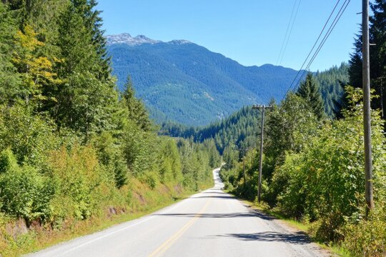 A straight, empty road stretches into a vibrant green landscape, flanked by trees, heading towards distant mountains under a clear sky