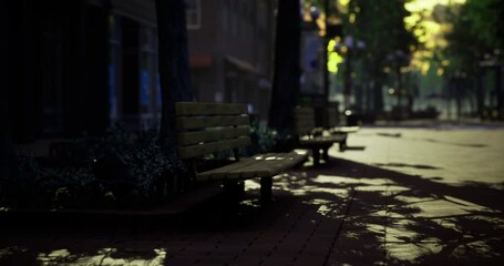 Silence envelops a tranquil urban street as the sun sets, casting long shadows from trees and benches. The peaceful atmosphere invites chance encounters and relaxation.