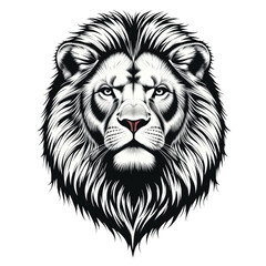 Obraz premium lion vector illustration