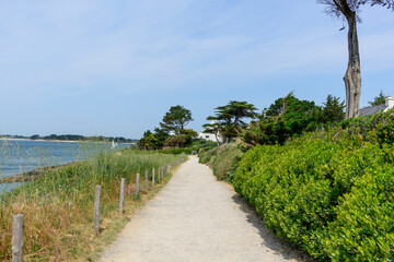 The coastal path in Arzon in Europe, France, Brittany, Morbihan, Arzon, in summer, on a sunny day.