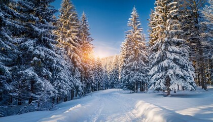 Obraz premium winter wonderland path snow covered pine trees create a serene and magical path through a snowy forest a tranquil winter scene perfect for holiday or nature themes