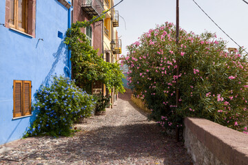 The flowery alley in Bosa in Europe, Italy, Sardinia, Bosa, in summer, on a sunny day.