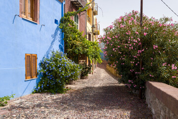 Obraz premium The flowery alley in Bosa in Europe, Italy, Sardinia, Bosa, in summer, on a sunny day.