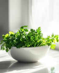 Fototapeta premium Minimalist Parsley with Roots in Ceramic Bowl