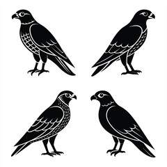 Stylized Falcon Silhouette Vector Icon Set Sharp & Professional Design.