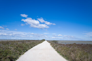 The path between the salt marshes in the Camargue regional park in Europe, France, Provence Alpes...