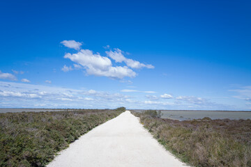 The path between the salt marshes in the Camargue regional park in Europe, France, Provence Alpes...