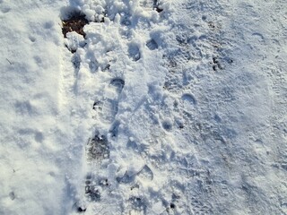 Fußspuren im Schnee im Plänterwald, Berlin Treptow