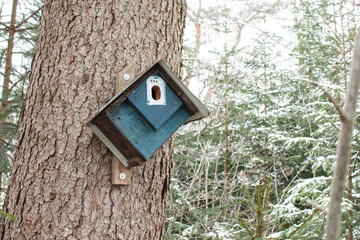 birdhouse on a tree
