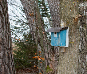 birdhouse on a tree
