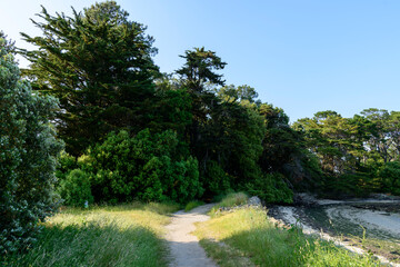 The coastal path on Berder Island in Larmor-Baden in Europe, France, Brittany, Morbihan, Larmor Baden, in summer, on a sunny day.