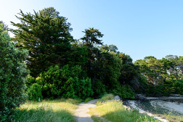 The coastal path on Berder Island in Larmor-Baden in Europe, France, Brittany, Morbihan, Larmor Baden, in summer, on a sunny day.